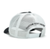Black and White Vintage Cap back View Image on white background