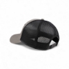 Back image of the Dark Grey Classic Cap on white background