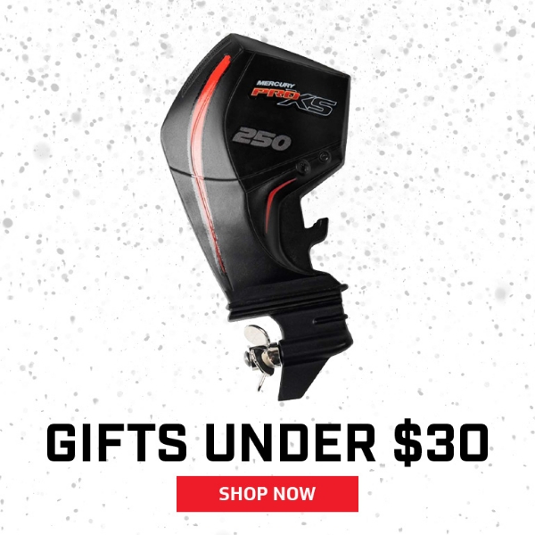 Picture for category Gifts Under $30